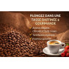 Elites Thé Rwanda Titus 1 kg : notre avis sur ce single-origin