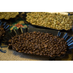 Bravi Caffè Single-Origin 1 kg : notre avis sur ce torréfacteur italien