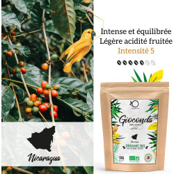 Origeens Pérou Gioconda 1 kg : notre avis bio single-origin