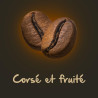 Naturela Bio Moka Éthiopie 1 kg : notre avis sur ce single-origin
