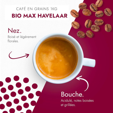 Folliet Max Havelaar Bio 1 kg : notre avis sur ce 100 % Arabica équitable