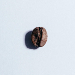 Folliet Brésil Daterra 500 g : notre avis sur ce café de spécialité