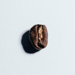 Folliet Honduras Bio 500 g : notre avis sur ce café de spécialité