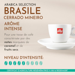illy Arabica Brésil Cerrado Mineiro : notre avis sur ce single-origin italien