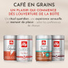 illy Arabica Brésil Cerrado Mineiro : notre avis sur ce single-origin italien