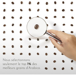 illy Arabica Brésil Cerrado Mineiro : notre avis sur ce single-origin italien