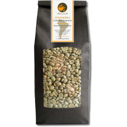 Rohebohnen Café Vert Colombie Supremo : à torréfier soi-même