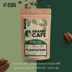 Graindecafé Café Vert Inde Plantation 1 kg : à torréfier soi-même