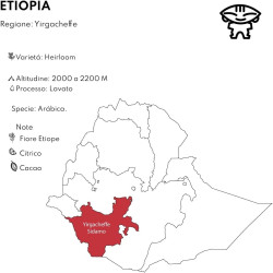 Boconó Sidamo Éthiopie 1 kg, notre avis sur ce specialty