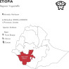 Boconó Sidamo Éthiopie 1 kg, notre avis sur ce specialty