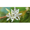 Cognac Coffee Honey Process 250 g, notre avis